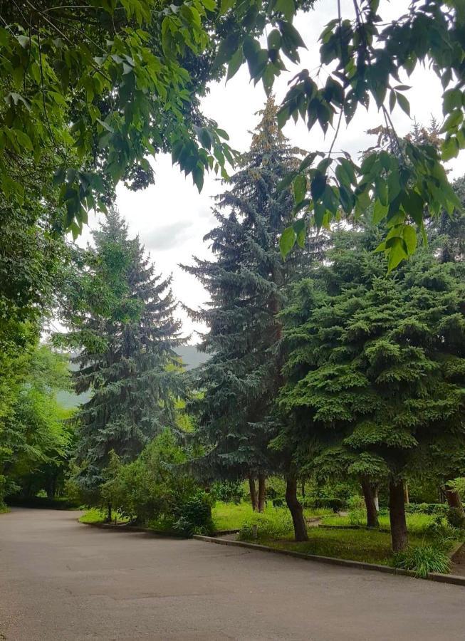 Vanadzor Armenia Health Resort & Hotel מראה חיצוני תמונה